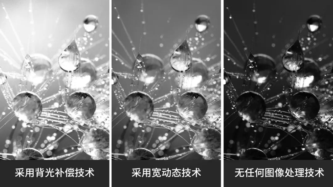 XGS6500M-H圖像質量更高